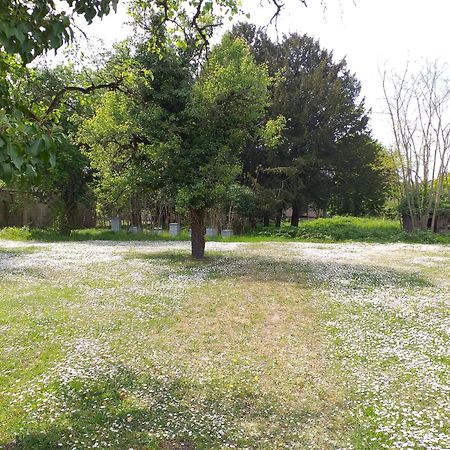 Charmante Maison Vitry-le-François Zewnętrze zdjęcie